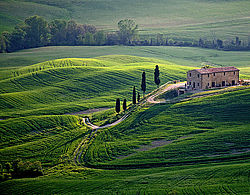 Vakantie in Italië Toscane: de streek Toscane