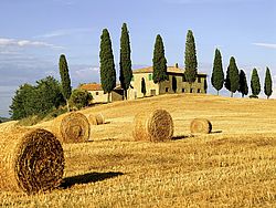 Vakantie in Toscane: de streek Toscane